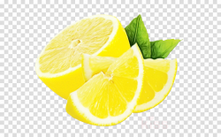 lemon lime yellow lemon peel lemon-lime clipart - Lemon ...