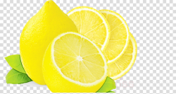 lime lemon citrus yellow key lime clipart - Lime, Lemon ...