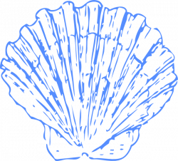 Shell Blue PNG, SVG Clip art for Web - Download Clip Art, PNG Icon Arts