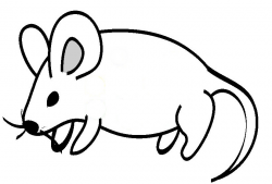 Free Line Drawings Of Animals, Download Free Clip Art, Free ...