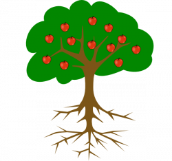 Fruit Tree And Roots Without Line Clip Art at Clker.com - vector ...