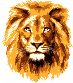 Lion Head Png - Clip Art Library