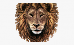 Lion Head Clipart - Lion Head Png Logo #1307939 - Free ...