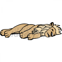 A golden colored male lion sleeping on his side clipart. Royalty-free  clipart # 131086