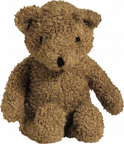 Teddy Bear Three | Isolated Stock Photo by noBACKS.com