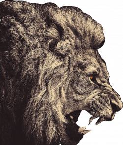 lion king sticker freetoedit