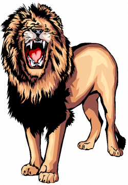 sissa 33: lion