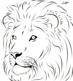 Lion line art clipart