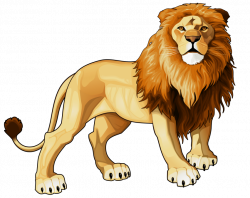 lion png - Free PNG Images | TOPpng