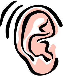 Ears Listening Clipart | Clipart Panda - Free Clipart Images