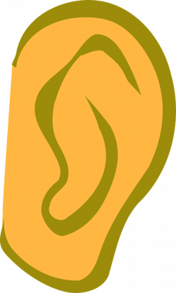 Ear cup clipart - Clipground