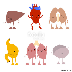 Cute cartoon anatomy vector set. Human organs - heart, lungs ...