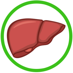 Liver care Archives - Whyayur