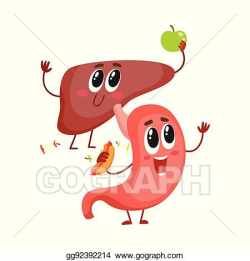 EPS Vector - Cute and funny, smiling human stomach and liver ...