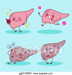 Vector Illustration - Healthy liver and sick liver. EPS ...