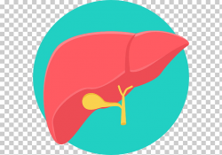 Liver transplantation Computer Icons Medicine Liver cancer ...
