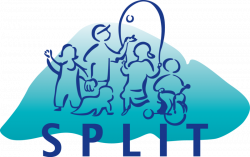 Smart Patients and SPLIT | Smart Patients