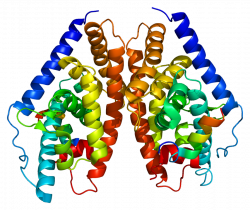 Liver X receptor beta - Wikipedia