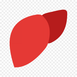 Red Background clipart - Liver, Red, Font, transparent clip art
