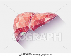 Vector Clipart - Liver faceted. Vector Illustration ...