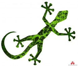 Green abstract lizard clipart free design download - WikiClipArt
