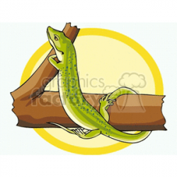 Green anole lizard climbing on tree branch clipart. Royalty-free clipart #  129896