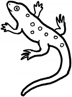 anole lizard coloring pages | Coloring Kids - Clip Art Library