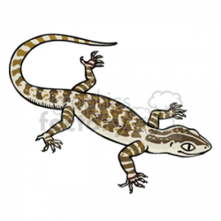Lizard with brown stripes and markings clipart. Royalty-free clipart #  129912