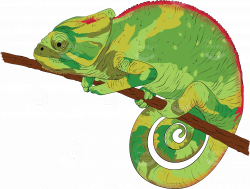 Chameleon - Illustration price | Minty