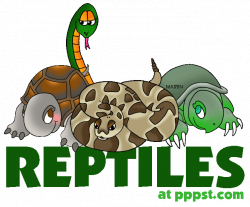 Amphibian Clipart Reptile