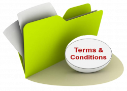 Terms & Conditions – Tone Lizard
