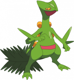 Sceptile Pokédex: stats, moves, evolution, locations & other forms ...