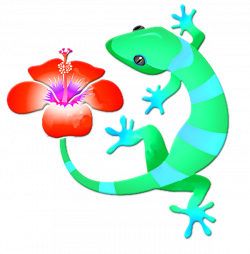 Blue And Green Jungle Lizard With Orange Hibiscus /background T ...