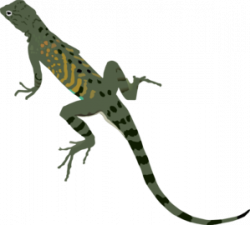 Lizard Tail Clipart | Clipart Panda - Free Clipart Images