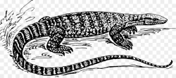 Book Black And White clipart - Lizard, Drawing, Fish ...