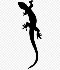 Salamander Gecko Clip art - salamander