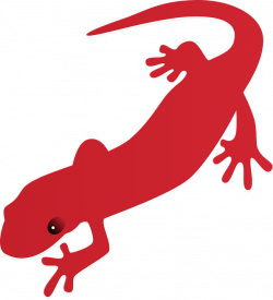 Pictures Of Cartoon Lizards#5275200 - Shop of Clipart Library