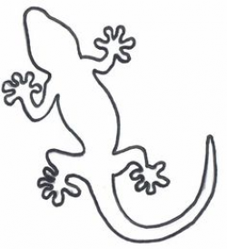 Lizard Drawing Outline | Free download best Lizard Drawing ...