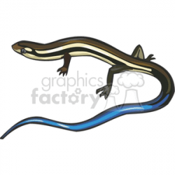 Long Blue-tailed Skink clipart. Royalty-free clipart # 129907