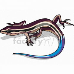 Blue-tailed skink clipart. Royalty-free clipart # 129901