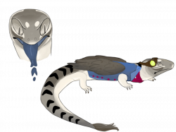 28+ Collection of Blue Tongue Lizard Drawing | High quality, free ...