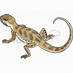 Small tan lizard with brown markings clipart. Royalty-free clipart # 129913