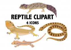 REPTILE CLIPART - textured snake, lizard, and bearded dragon digital icons  - snakes vivarium clip art set