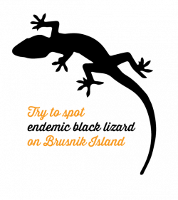 Boat tour from Vis Island to Biševo (Blue Cave), Brusnik, St. Andrew