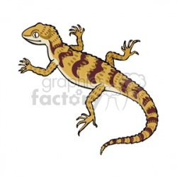 Tan colored lizard with dark brown stripes clipart. Royalty-free clipart #  129910
