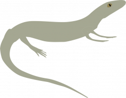Reptile,Vertebrate,Tail PNG Clipart - Royalty Free SVG / PNG