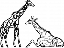 giraffe clipart black and white outline png - Clipground