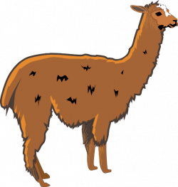Shaggy Brown Llama Clip Art at Clker.com - vector clip art online ...