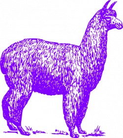 Purple Alpaca Ms Patonai Clip Art at Clker.com - vector clip art ...