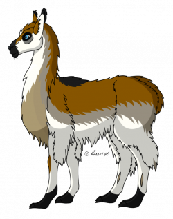 How I Draw A: Llama (request) by horse14t on DeviantArt